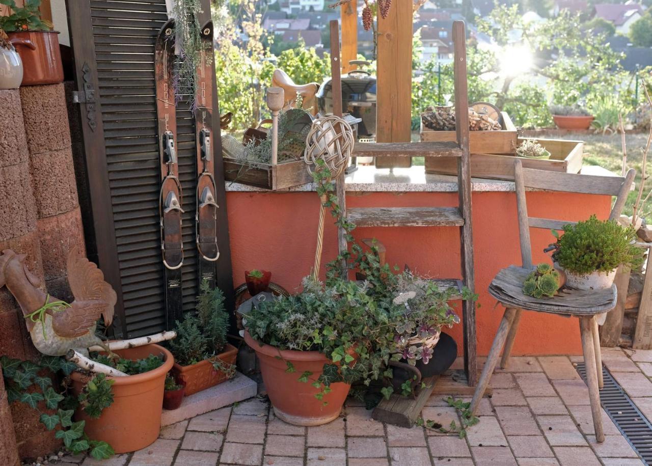 Ferienwohnung Im Paradies Momlingen エクステリア 写真