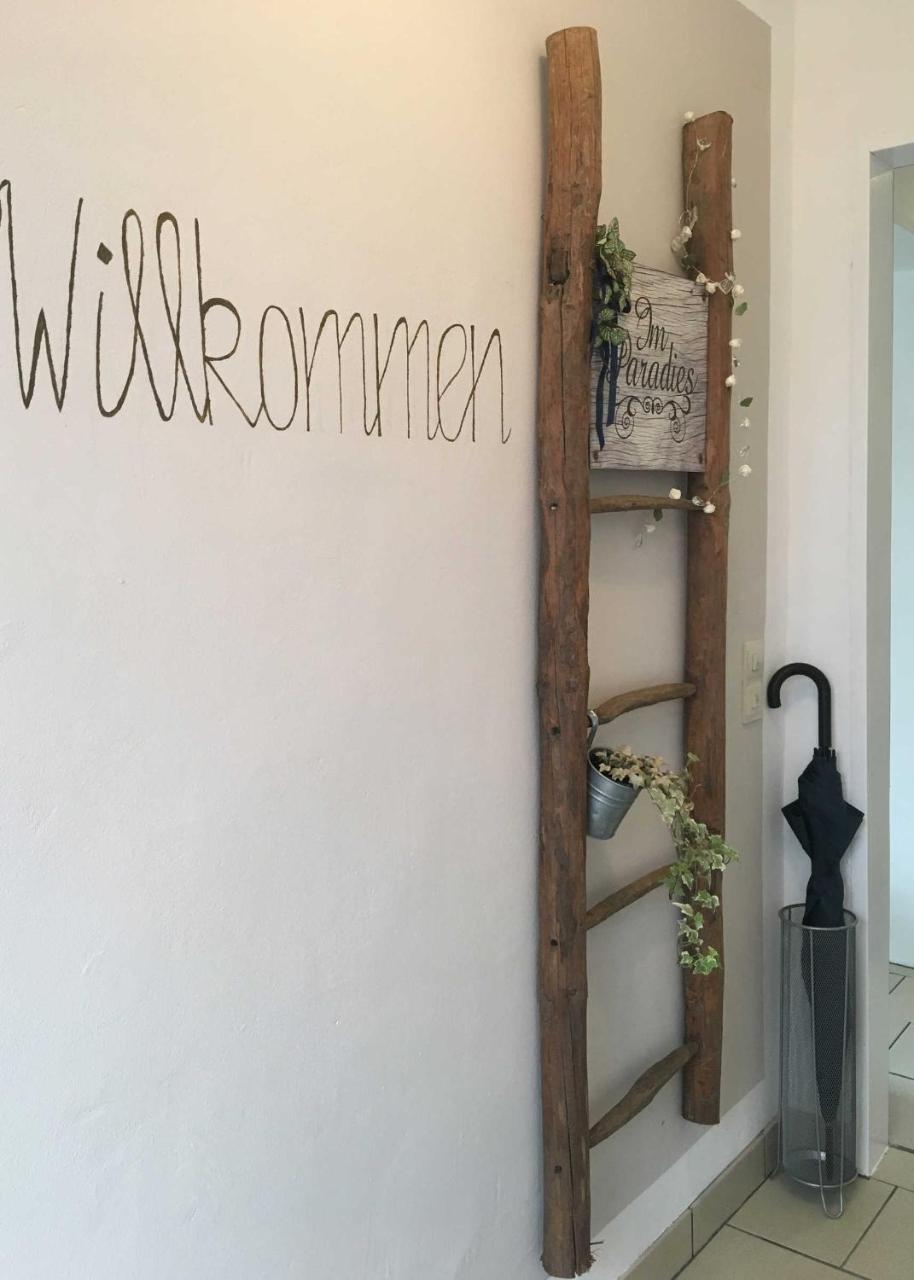 Ferienwohnung Im Paradies Momlingen エクステリア 写真